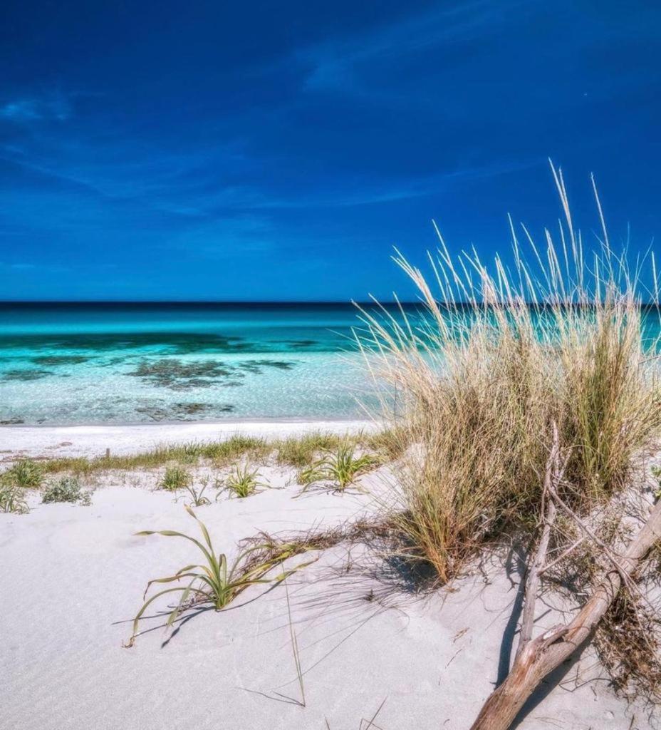 Le Residenze Blu Sardinia Aparthotel La Caletta Esterno foto